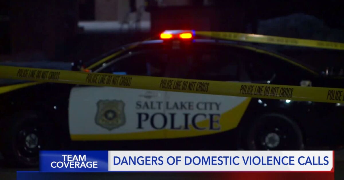 Police face extra risk responding to domestic violence calls