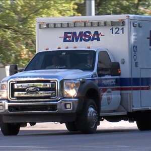 EMSA.jpg