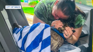 Missing dog found in Waco several years after disappearing