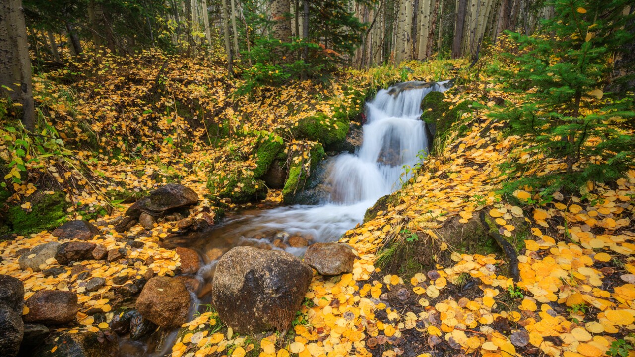 Rocky Mountain National Park Tom Mangan 2.jpg