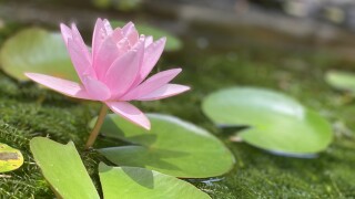 IMG_5057.jpg