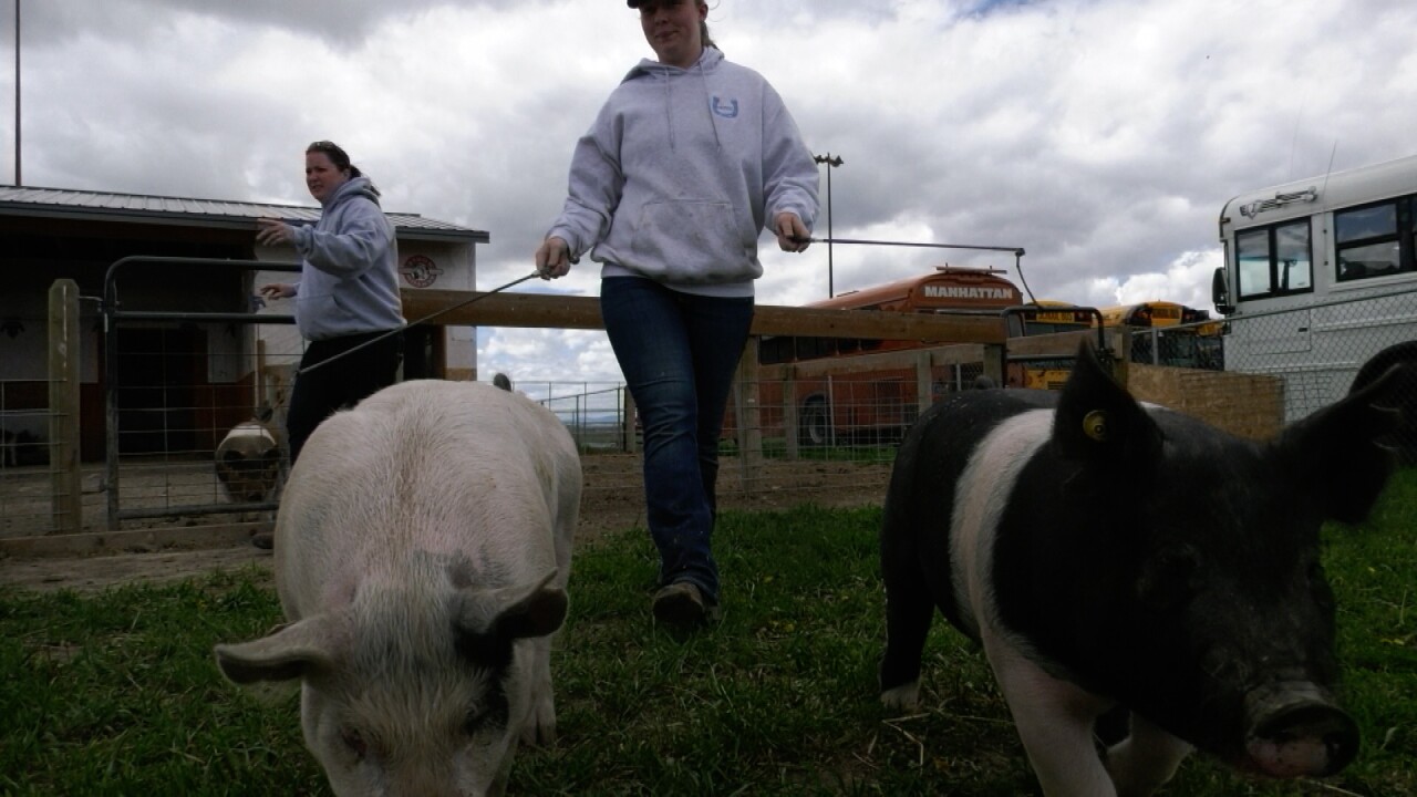 4-H Rebound.jpg