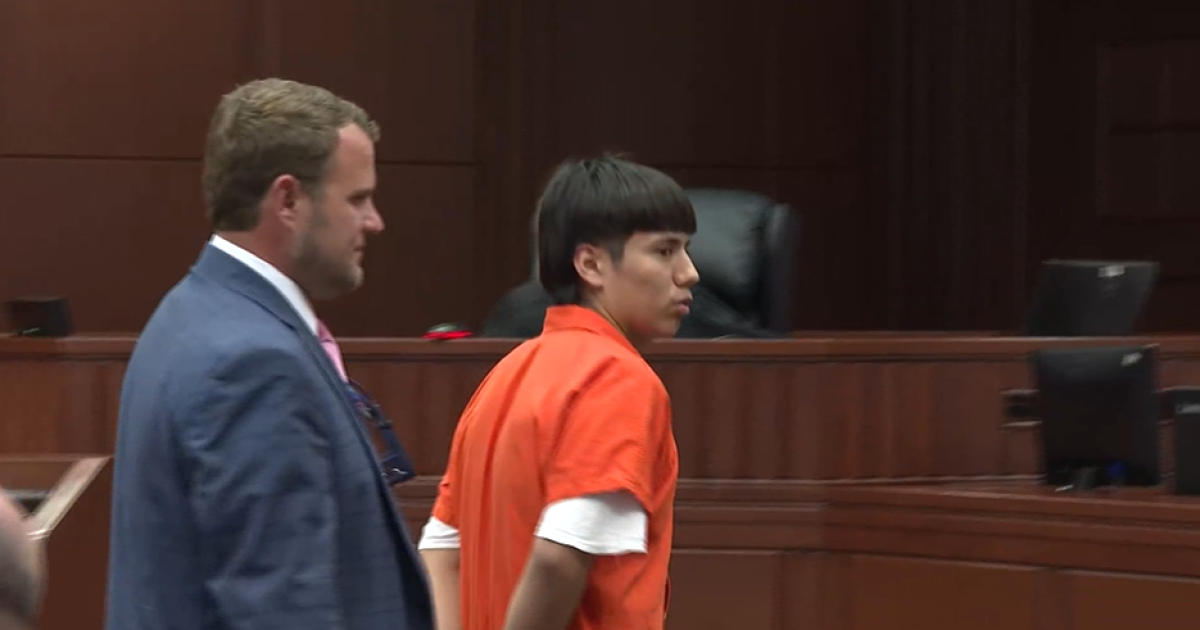 Teenager accused of killing two other teens makes first court appearance