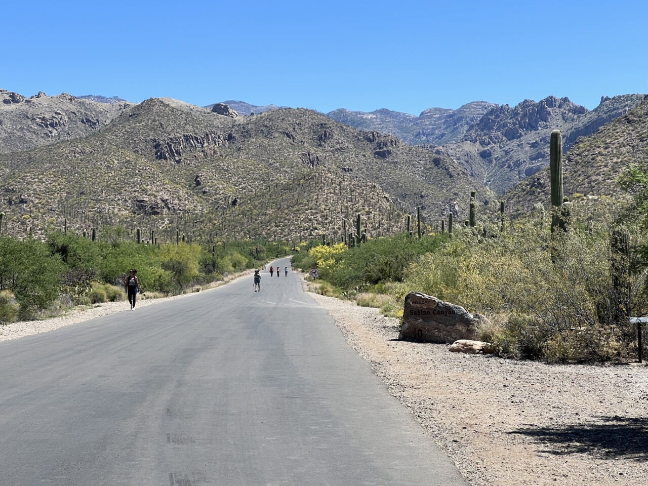 Road up to Sabino Canyon