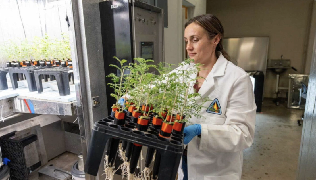 Shooting for the moon: How one local Aggie looks to change the game for space exploration