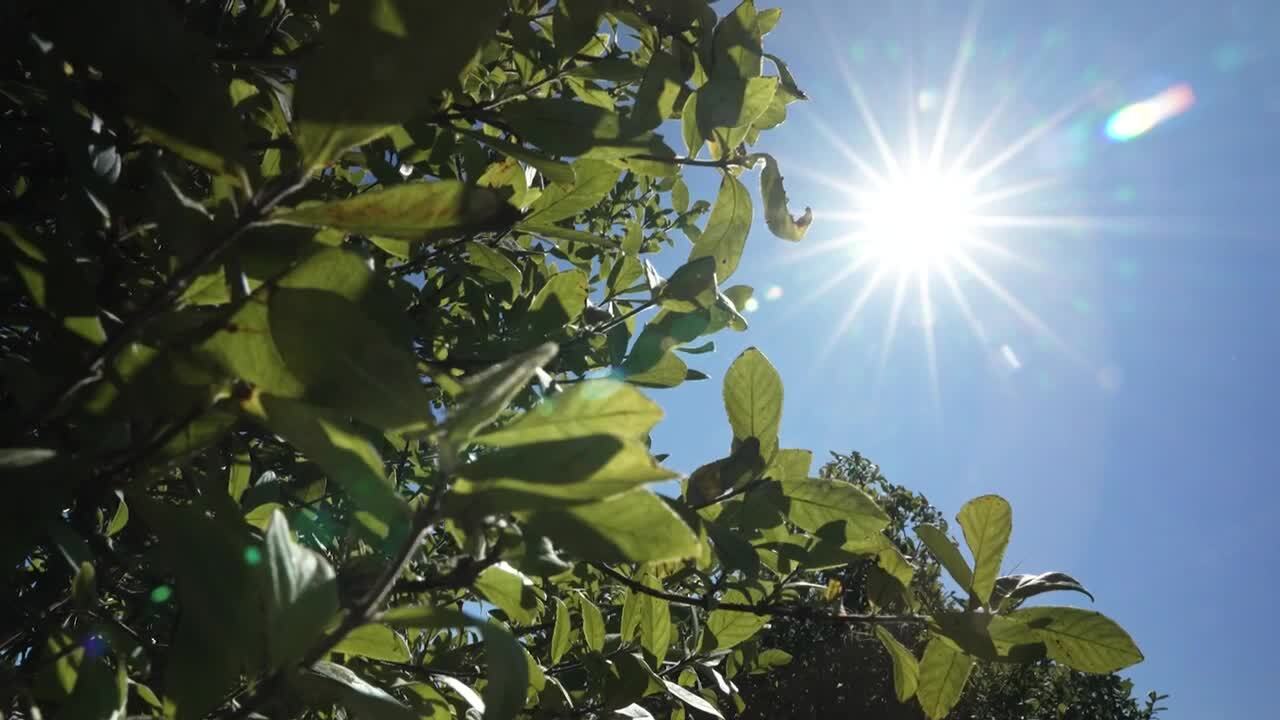 Poster image (1).jpg