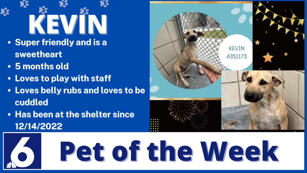 Pet Of the Week: Kevin