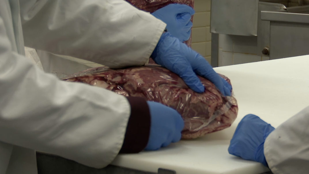 Texas A&M Meat Judging Team adds another national title to historic program