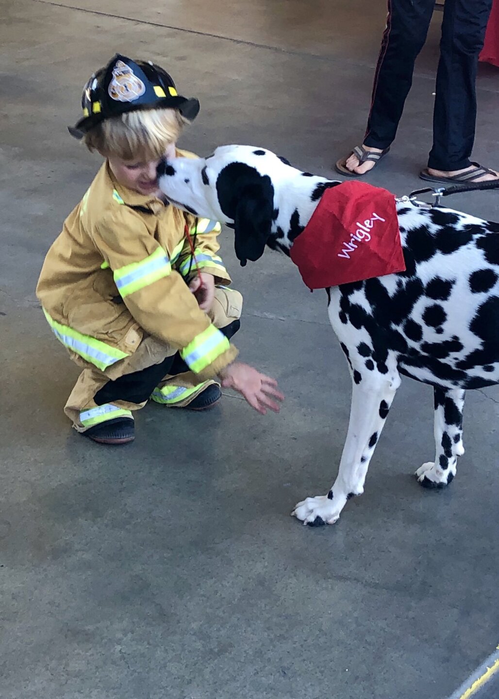 fire 1.jpg
