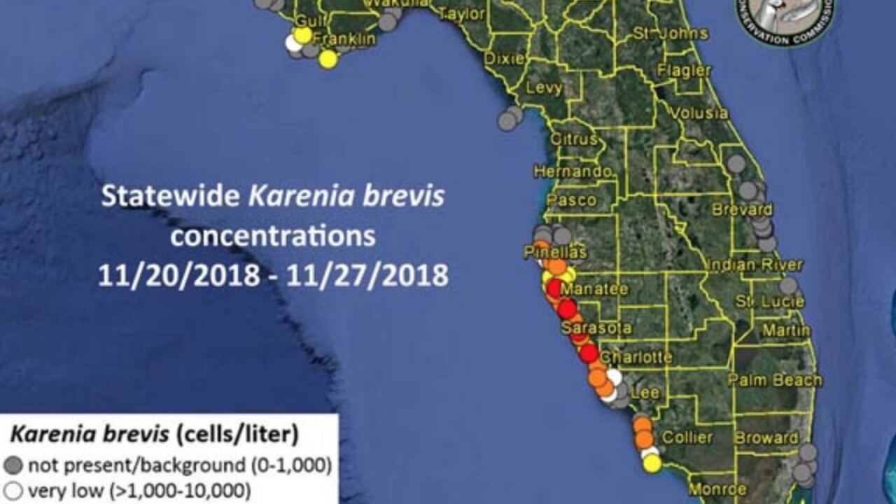 2021 red tide florida map