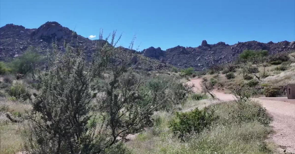 Scottsdale's McDowell Sonoran Preserve marks 32nd anniversary amid legal challenges