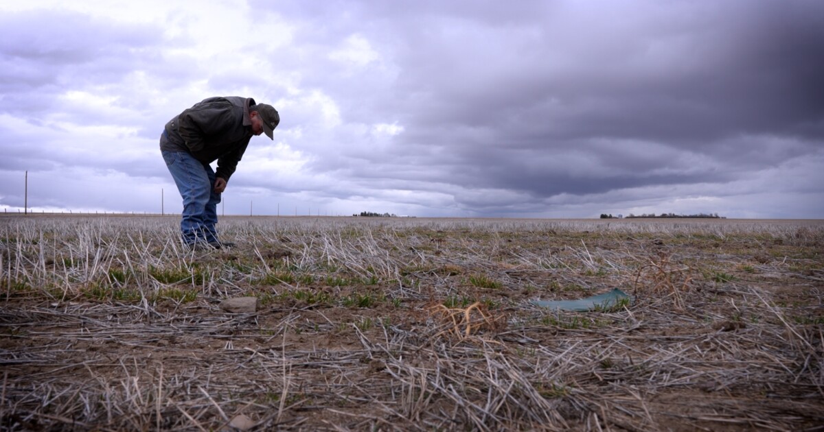 How the Middle East conflict might affect Montana ag producers