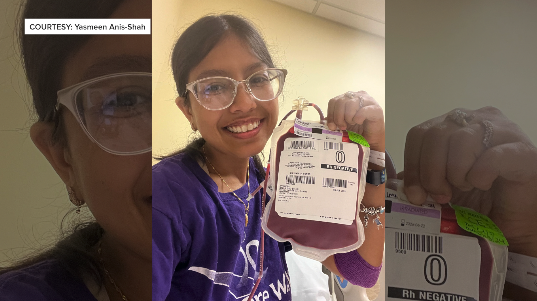 Yasmeen Anis-ShaH 2 .png