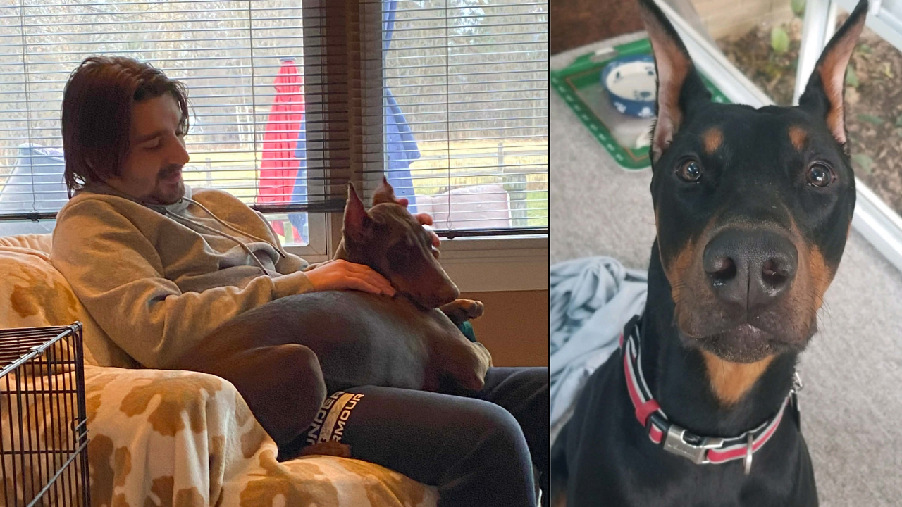 Untitled design - 2026-03-01T211056.319.png