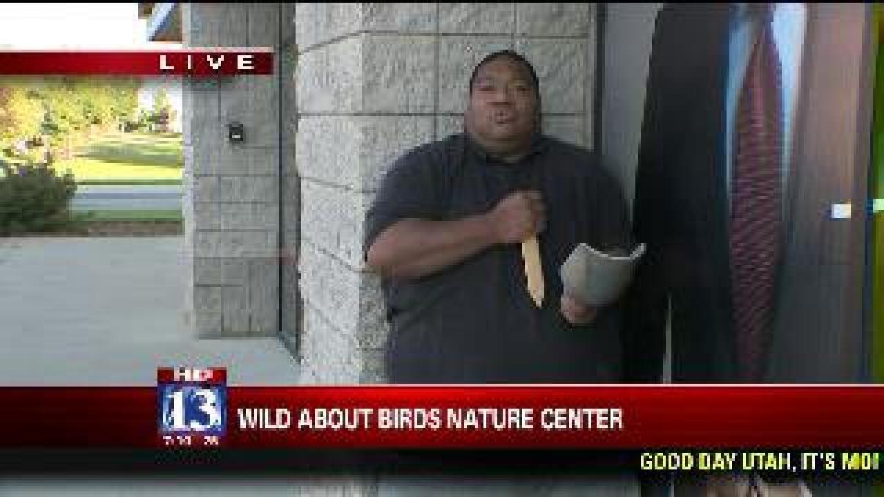 Budah tries to catch birds
