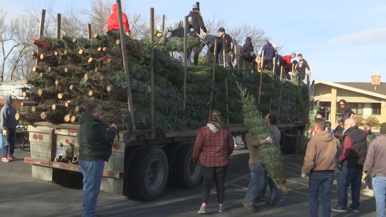 112121 TREE TRUCK MEDIUM_3.8.1.jpg