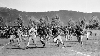 butte brawl of wild.jpg