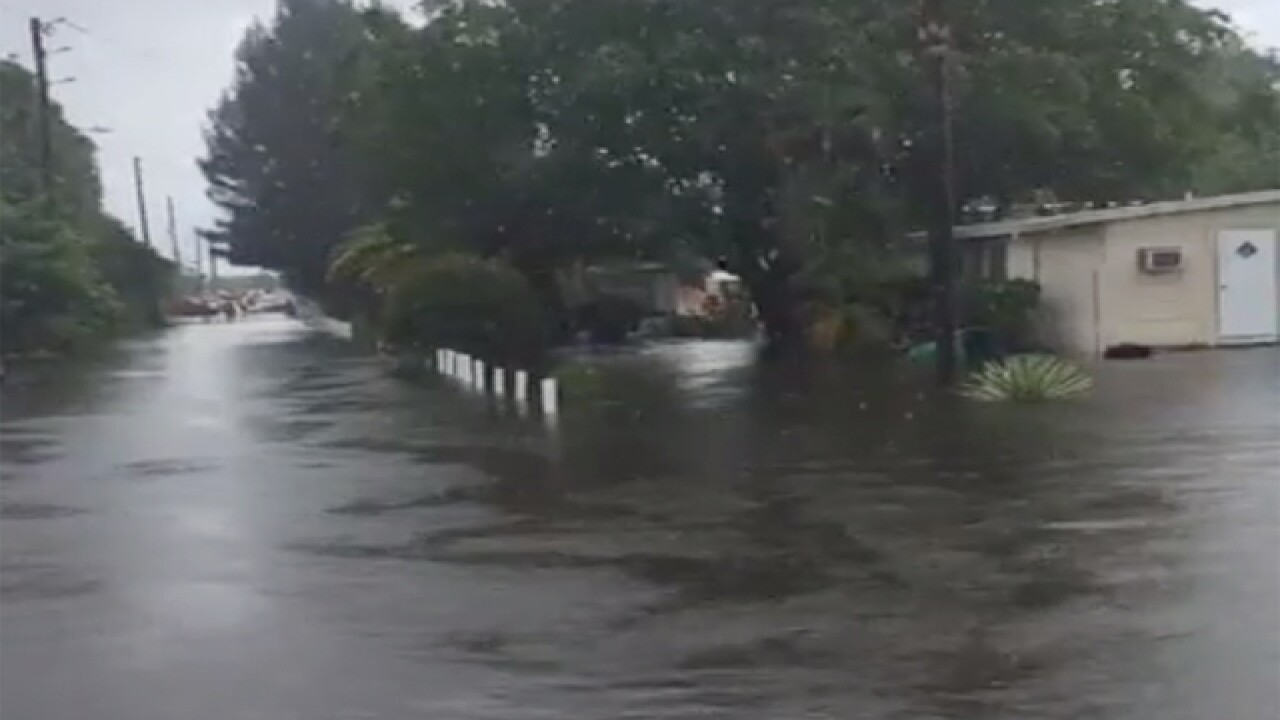 PHOTOS: Tropical Storm Colin hits Tampa Bay
