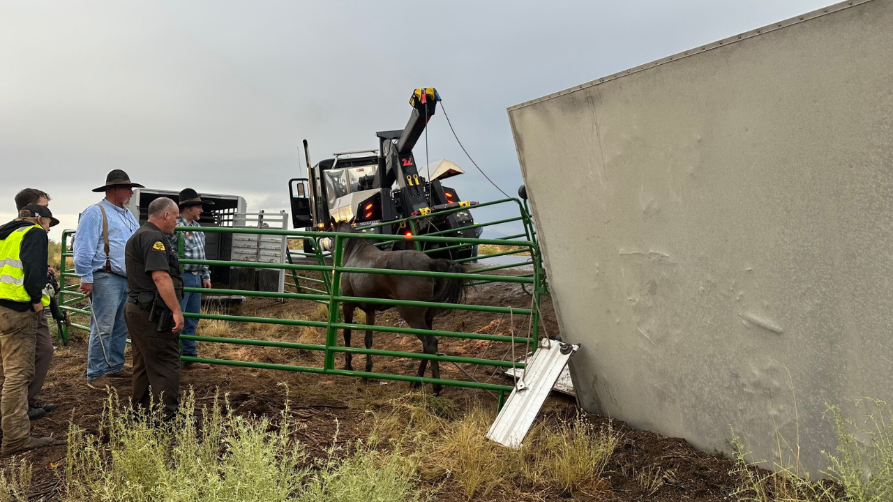 San Juan County Horse Trailer1.png
