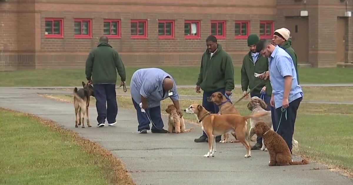 Inmates train employees' dogs at Lorain prison