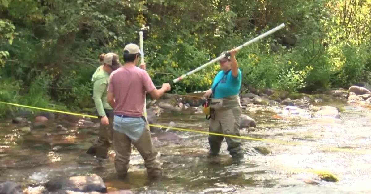 Missoula's Watershed Education Network seeking volunteers - Vimarsana News