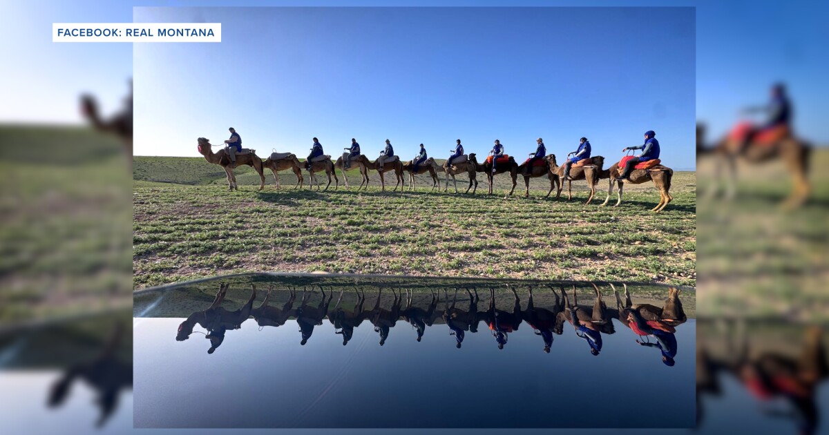 REAL Montana participants gain global perspective on agriculture during Morocco trip