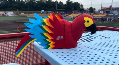 Parrothead Hat