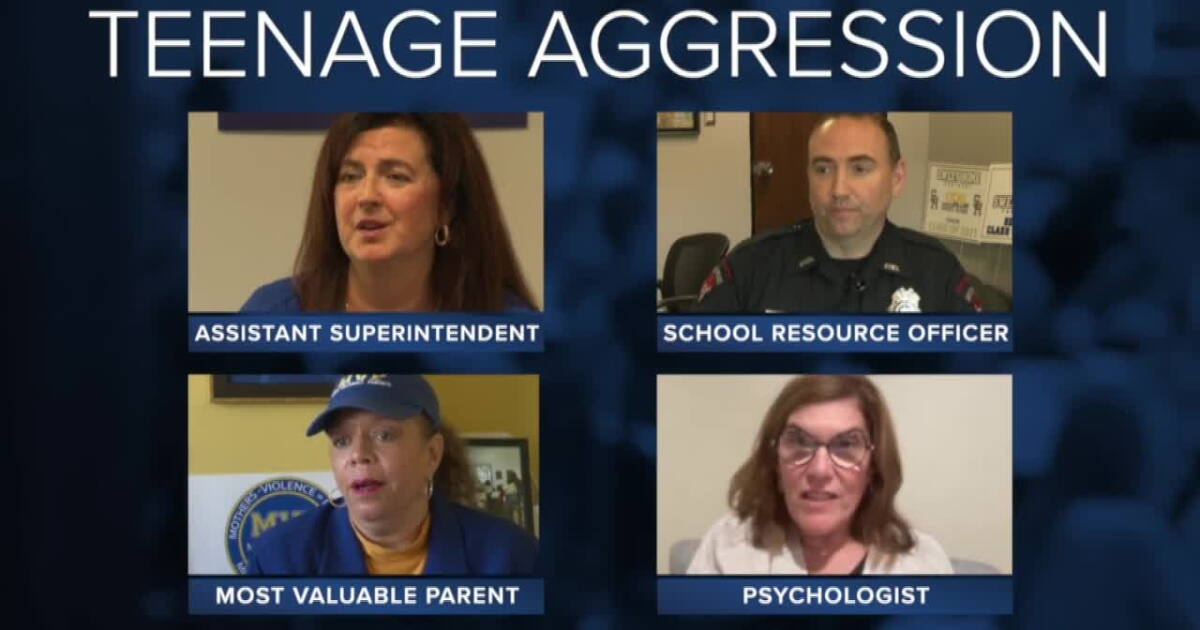 'Anxiety and anger look identical': solutions to an increase in teen aggression - Vimarsana News