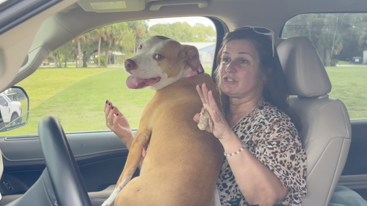 LaBelle Lost Dog Reunion