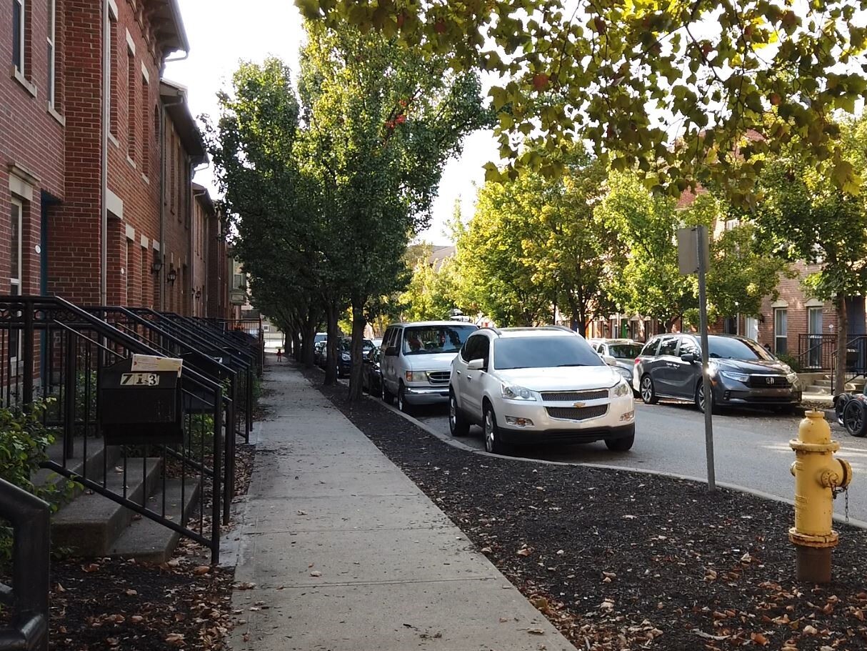 Katt Wallace lives in a quiet part of City West. This photo taken in September shows her tree-lined street.