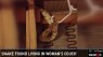 Woman Finds 4-Foot-Long Snake Living In Her Couch