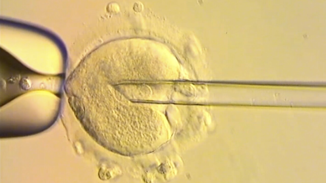 Three Person Baby