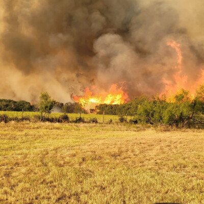 Evant Wildfire