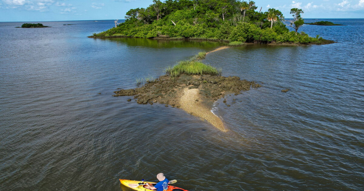 Fraudster used stolen relief aid to purchase private Florida island - Vimarsana News