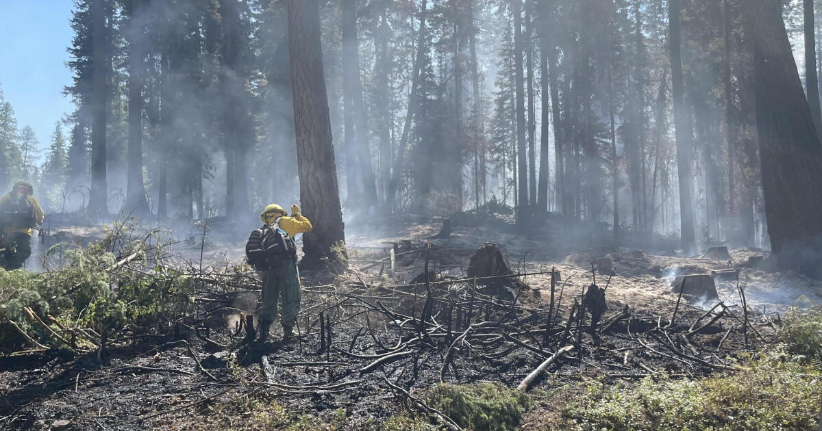 East Fork Fire holding at 5,100 acres, 20% contained - Vimarsana News