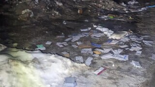 Marion Mail Problems