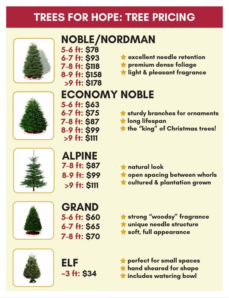 "Trees for Hope" pricing