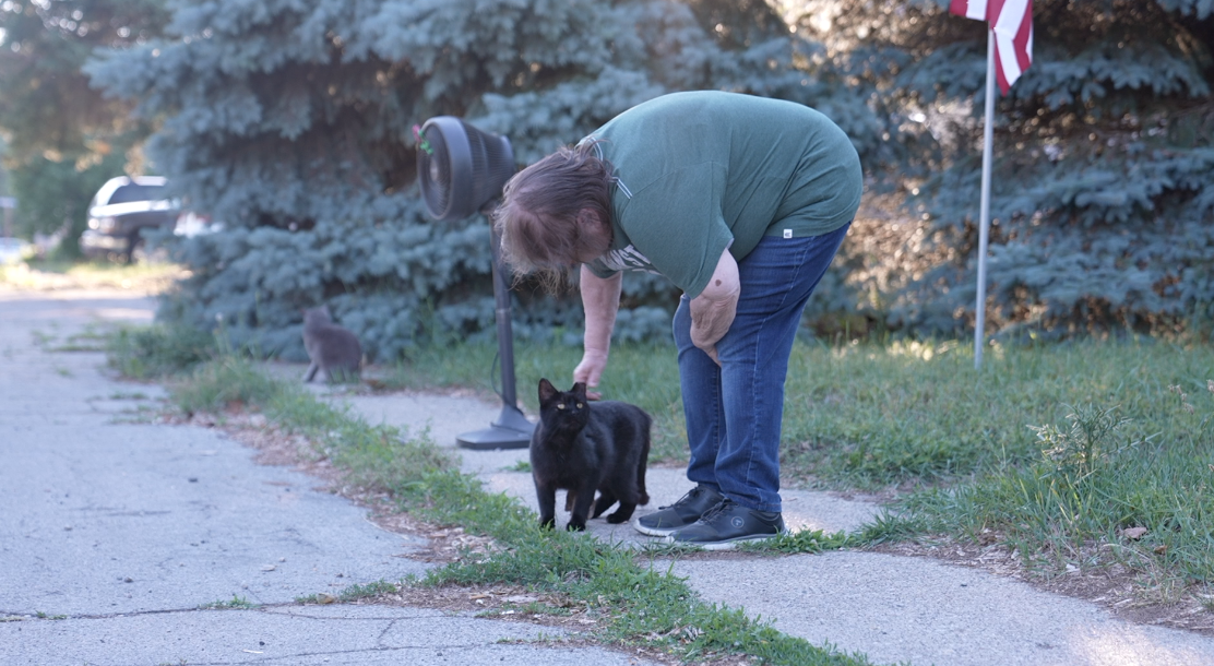 Community members and cats