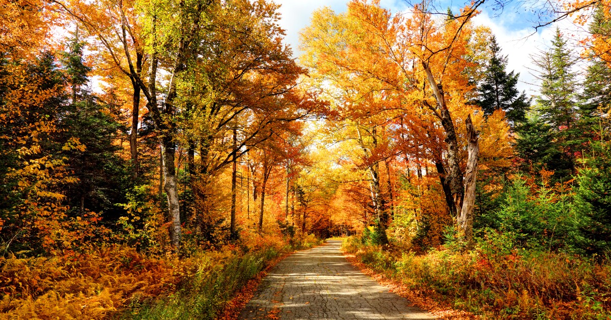 First day of Fall is Monday. Here are 5 things you probably didnβt know