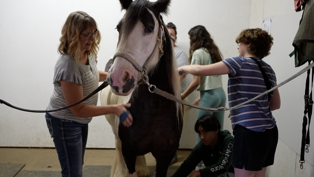 Screen Shot 2024-07-25 at 6.44.16 PM.png