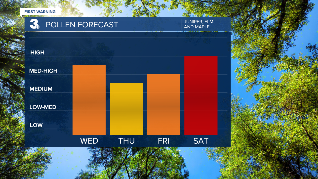 Pollen Forecast
