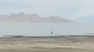 Great Salt Lake