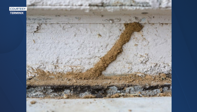 Screenshot 2026-03-27 at 5.54.05 PM.png