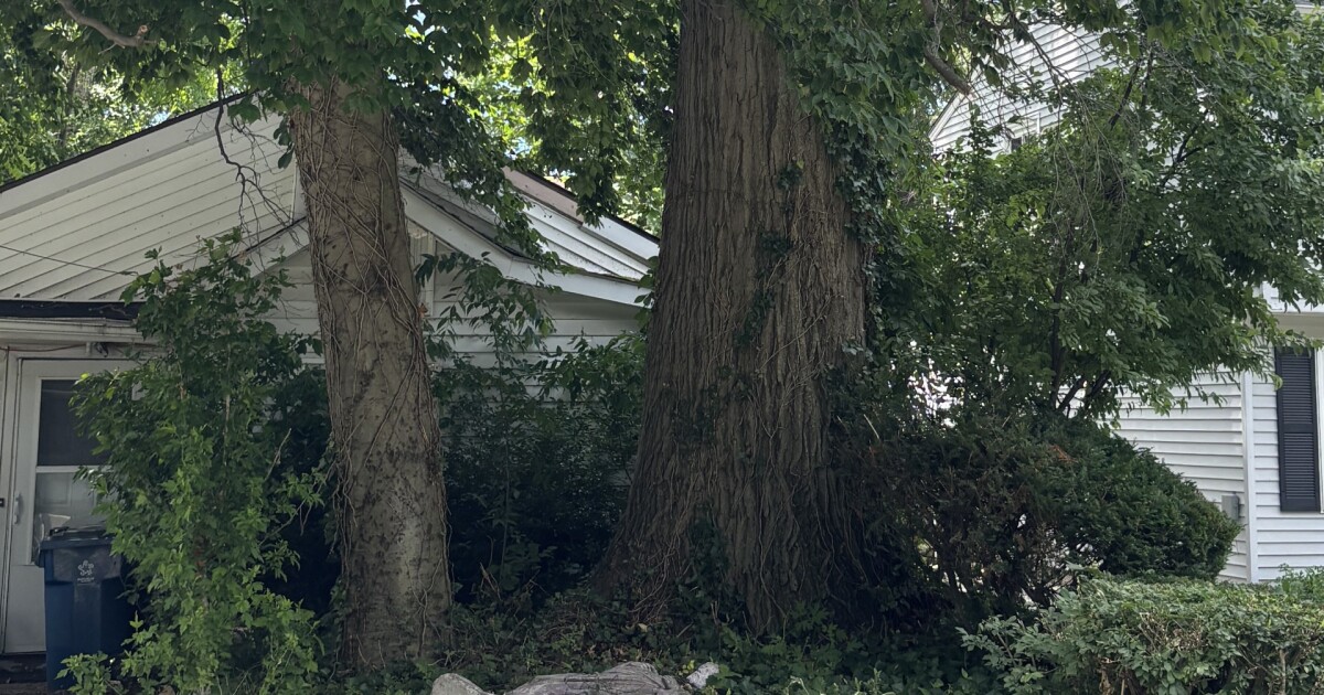 Strangers rally to help 79-year-old Willoughby nurse cited for failing to maintain her property