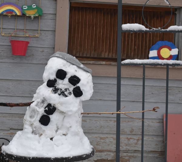 Ronda Stafford Tate Penrose.jpeg