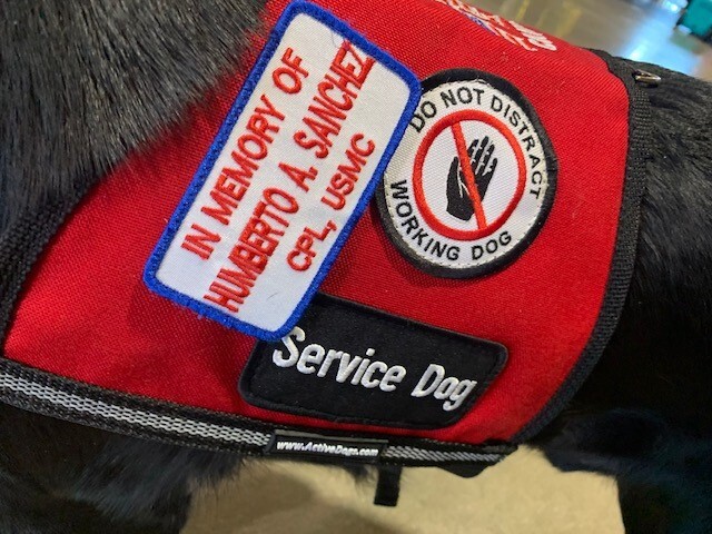 service dog cpl sanchez.jpg
