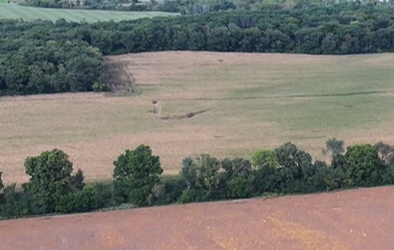 Plane crashed into Corn Field in East Troy
