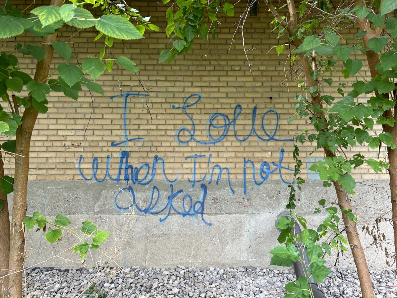 The vandalism left on the Detroit nonprofit