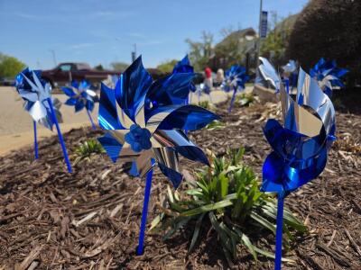Hampton pinwheels for prevention