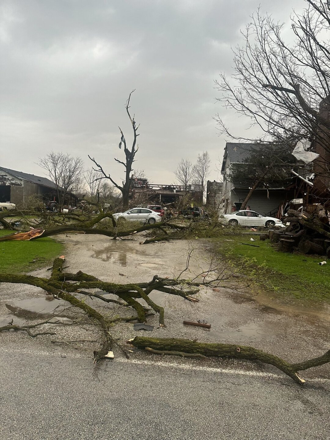 Windham damage credit @HoundOfFate.jpeg